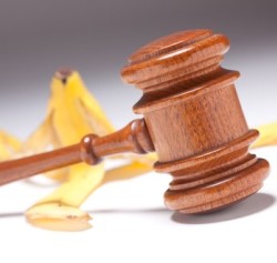 lawyer